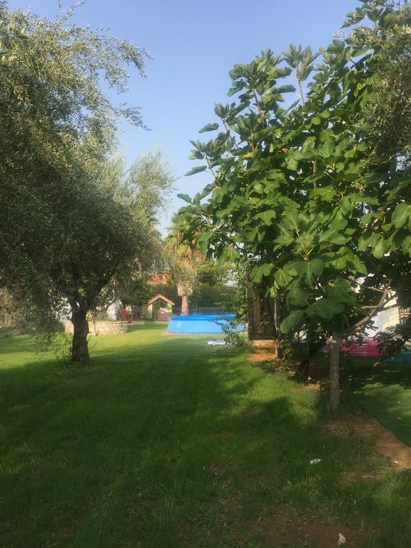 Anastasios Olive Garden Apartments Petalídhion Exterior foto